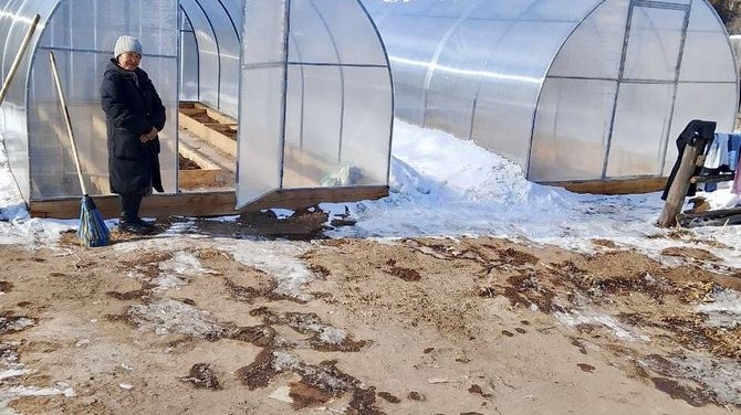 В Улуг-Хемском районе самозанятым, занимающимся огородничеством, предоставят семена