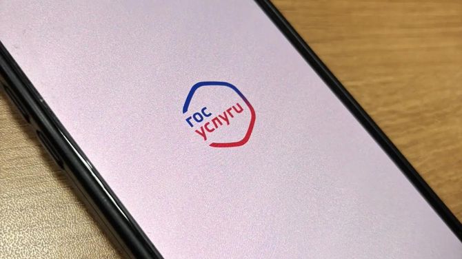 Справка для поступления в вуз стала электронной: пошаговая инструкция для абитуриентов Тувы