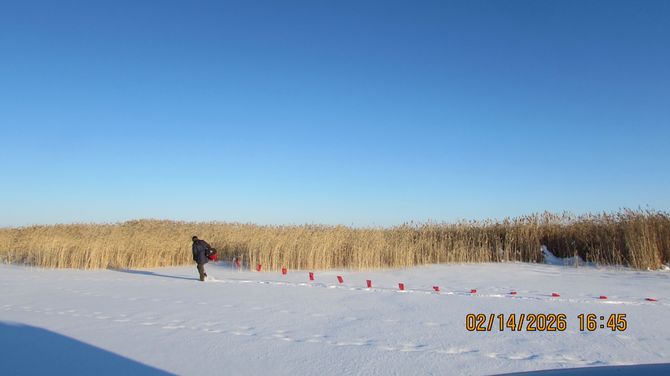 Охотники Тувы добыли 41 волка за время месячника по борьбе с хищниками