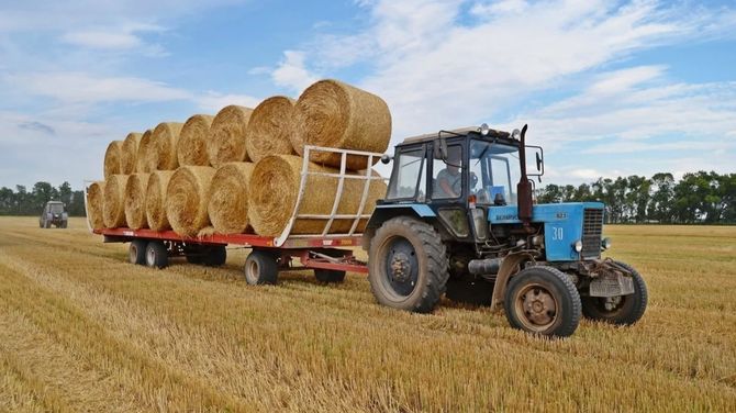 Сельхозпроизводителям Тувы рекомендуют проверить качество сена в лаборатории