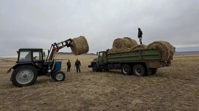В Эрзинском районе завершили кормозаготовительную кампанию