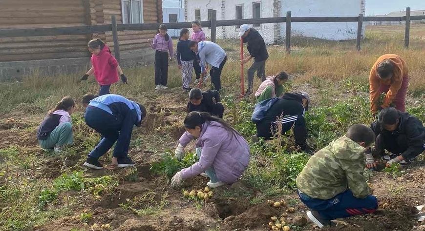 В Тес-Хемском районе сделали ставку на огородничество в Год созидательного труда