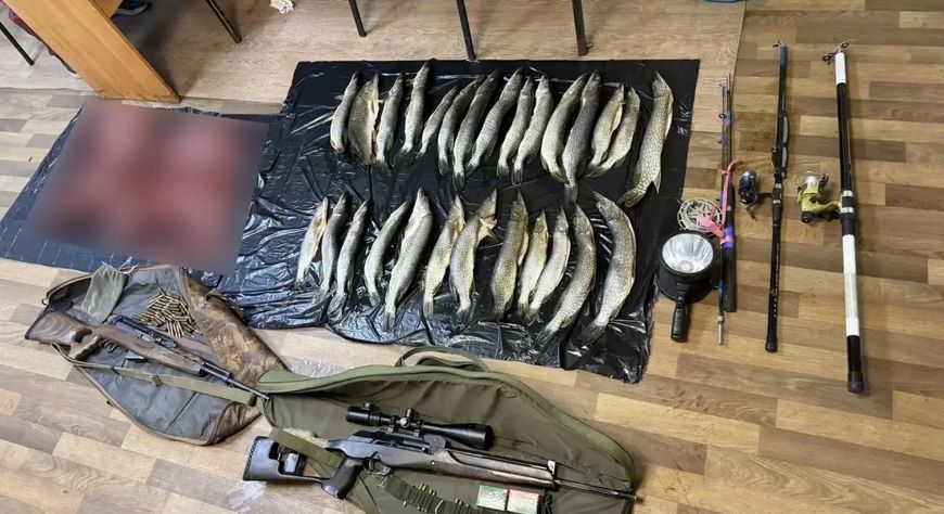 В Туве задержали браконьеров с тушей косули и 27 щуками