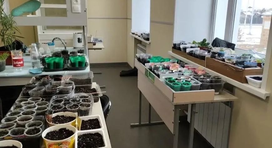 Юные аграрии Тувы высадили более 2,5 тысячи растений в школьных теплицах