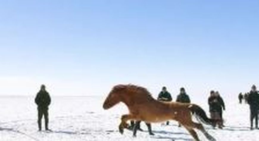 Акааларның "Сыдым байырлалы"
