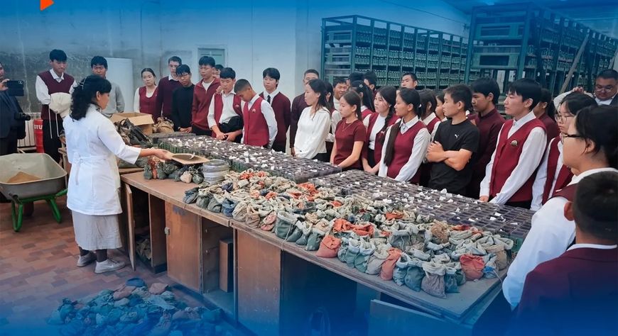 Туве подвели итоги Всероссийской профориентационной недели