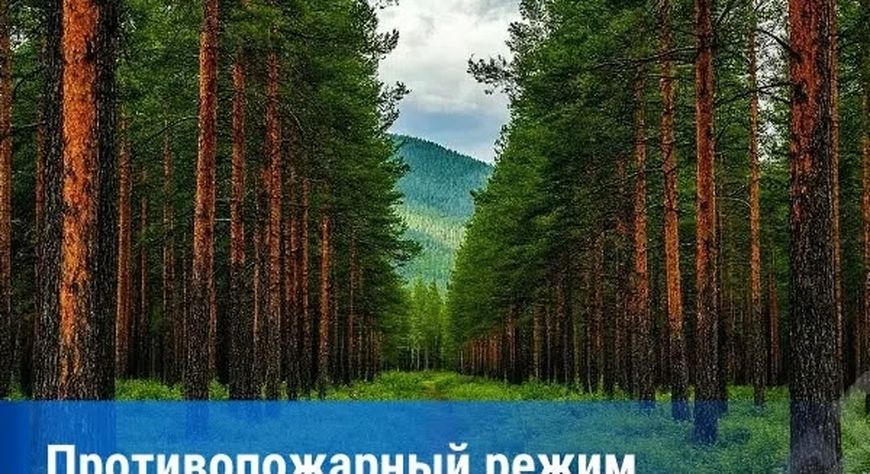 Особый противопожарный режим в Туве продлён до 26 июля