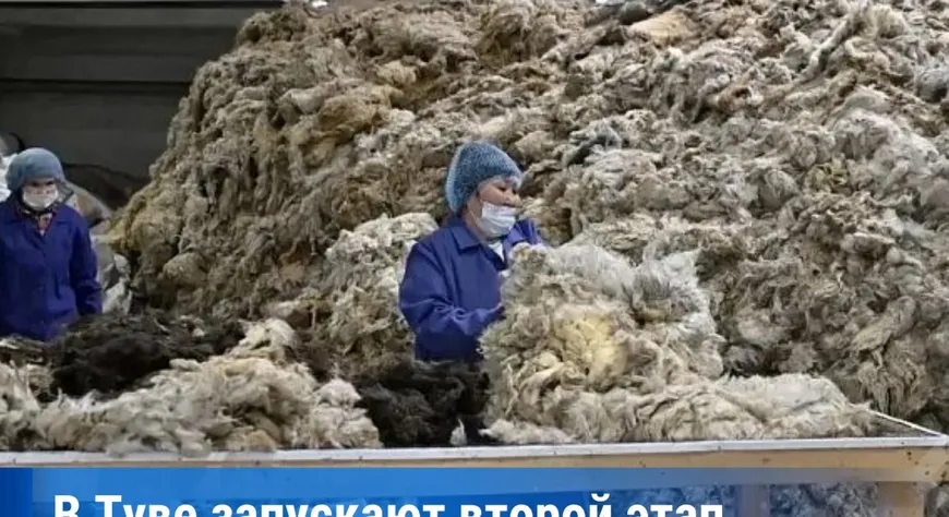 В Туве начнут выпускать нетканые материалы из местной шерсти