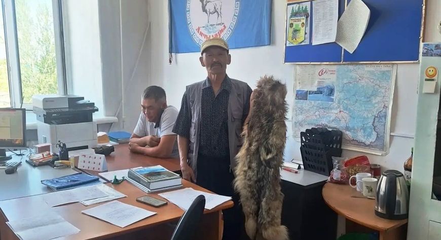 Август 1-ден эгелеп Тываның аңчылары бөрүлерни аглап аңнап болур
