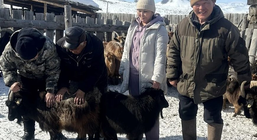 Ученые Тувы изучили генетический потенциал сельскохозяйственных животных