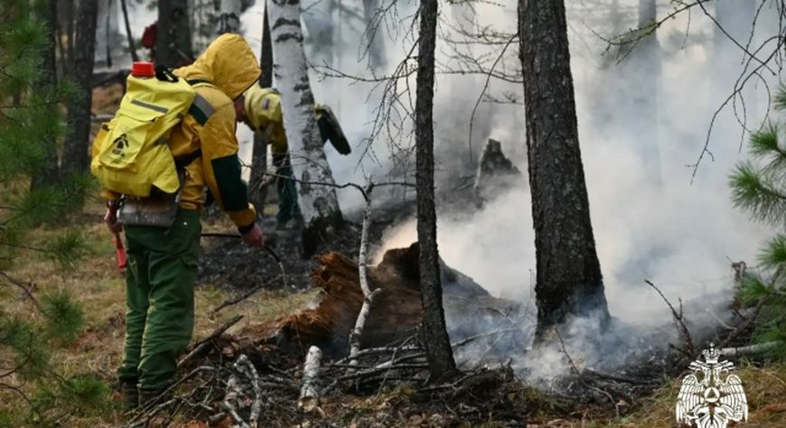В Туве за сутки пожарными ликвидировано три лесных пожара