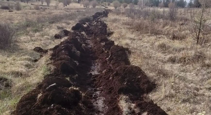 В лесах Тувы завершается подготовка к пожароопасному сезону