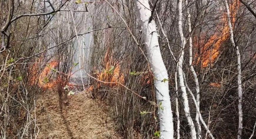 В Дзун-Хемчикском районе продолжают тушить лесной пожар