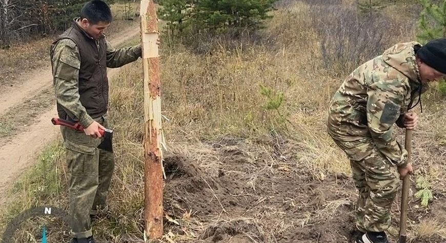 В Туве в рамках нацпроекта «Экологическое благополучие» обработали 350 гектаров под лесовосстановление