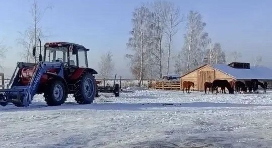 Ветеран СВО из Тувы расширил фермерское хозяйство по гранту «Агростартап»