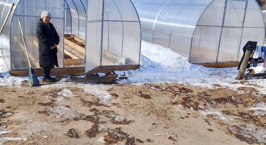 В Улуг-Хемском районе самозанятым, занимающимся огородничеством, предоставят семена