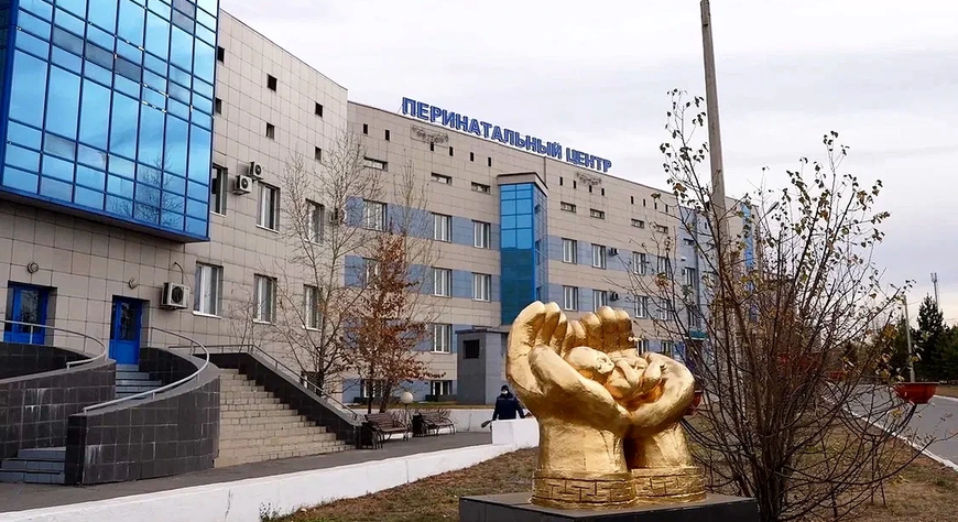 Владислав Ховалыг поздравил акушерок Тувы с профессиональным праздником