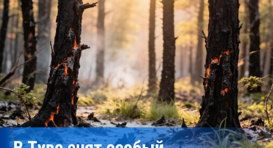 В Туве снят особый противопожарный режим, но леса остаются закрытыми из‑за медведей