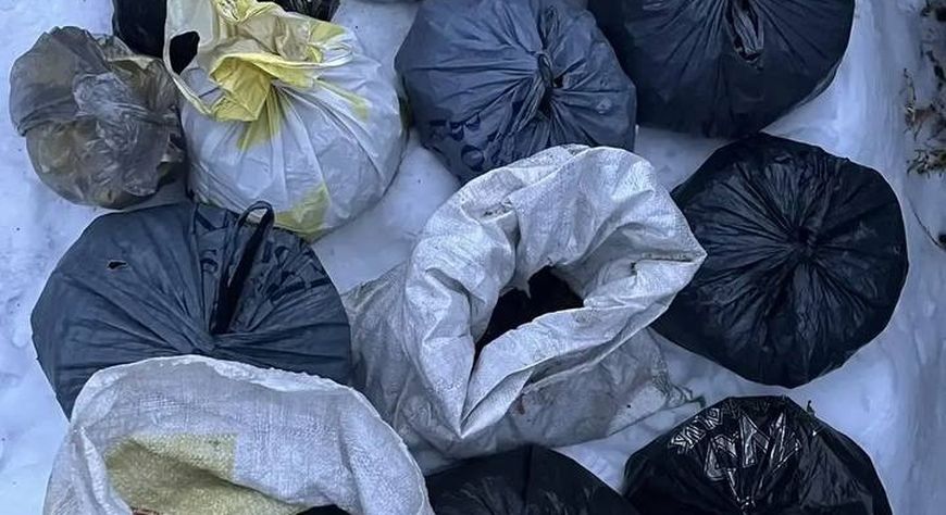 В Туве изъяли около 20 килограммов наркотиков