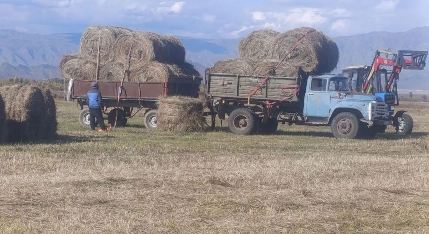 Улуг‑Хемский район: кормозаготовительная кампания завершена с превышением плана