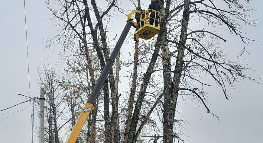 В Чадане спиливают аварийные деревья на улице Ленина