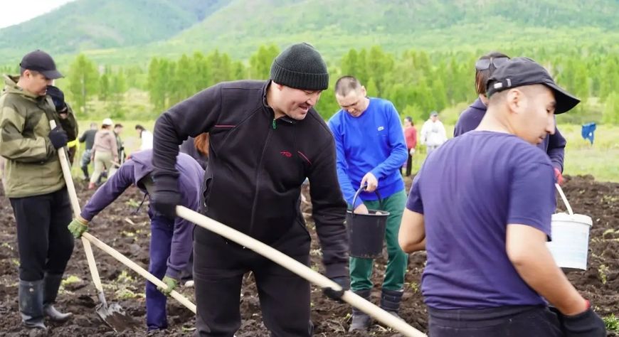 В Туве посадили 8 тонн картофеля в рамках благотворительной акции