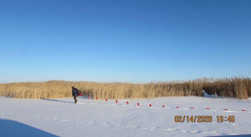 Охотники Тувы добыли 41 волка за время месячника по борьбе с хищниками