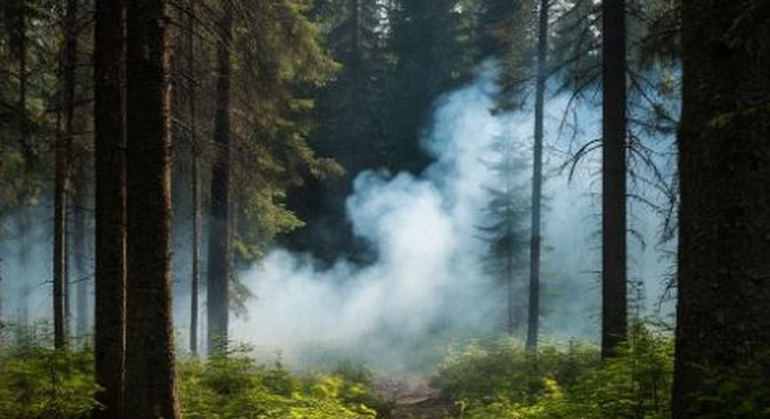 За сутки в Туве полностью ликвидированы три лесных пожара
