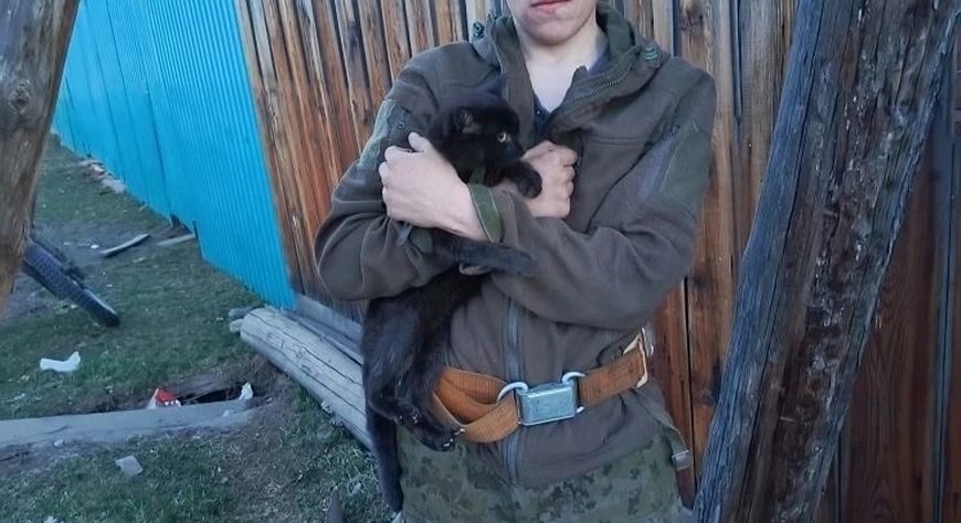 Герои выходного дня. Энергетики восстановили электроснабжение и спасли котенка