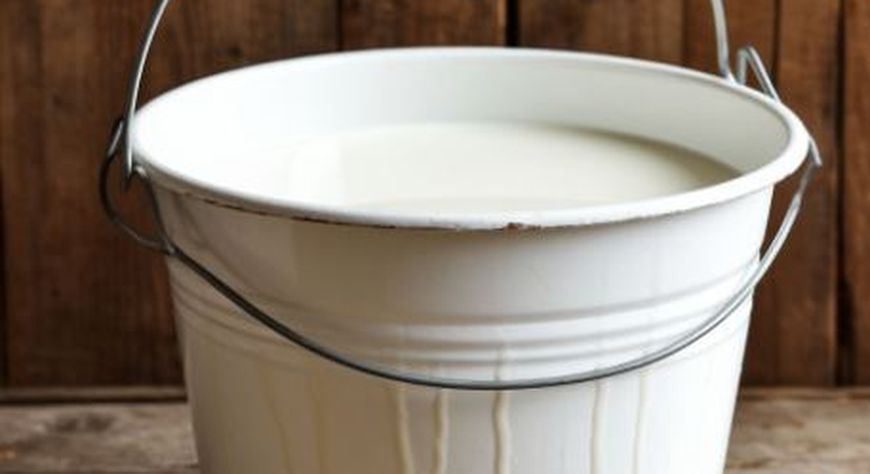 В Пий-Хемском районе стартовал проект «Молочная деревня»