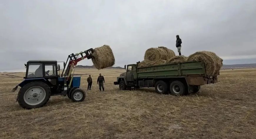 В Эрзинском районе завершили кормозаготовительную кампанию