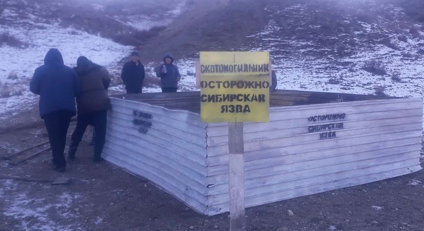 В Барун-Хемчикском районе реконструируют места захоронения животных, павших от сибирской язвы