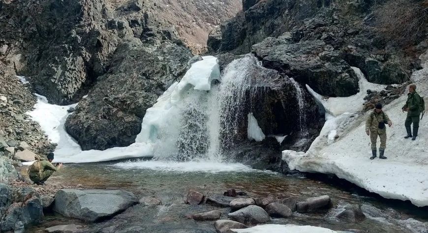 Инспекторы парка «Тыва» поделились кадрами с фотоловушек в Бай-Тайгинском районе